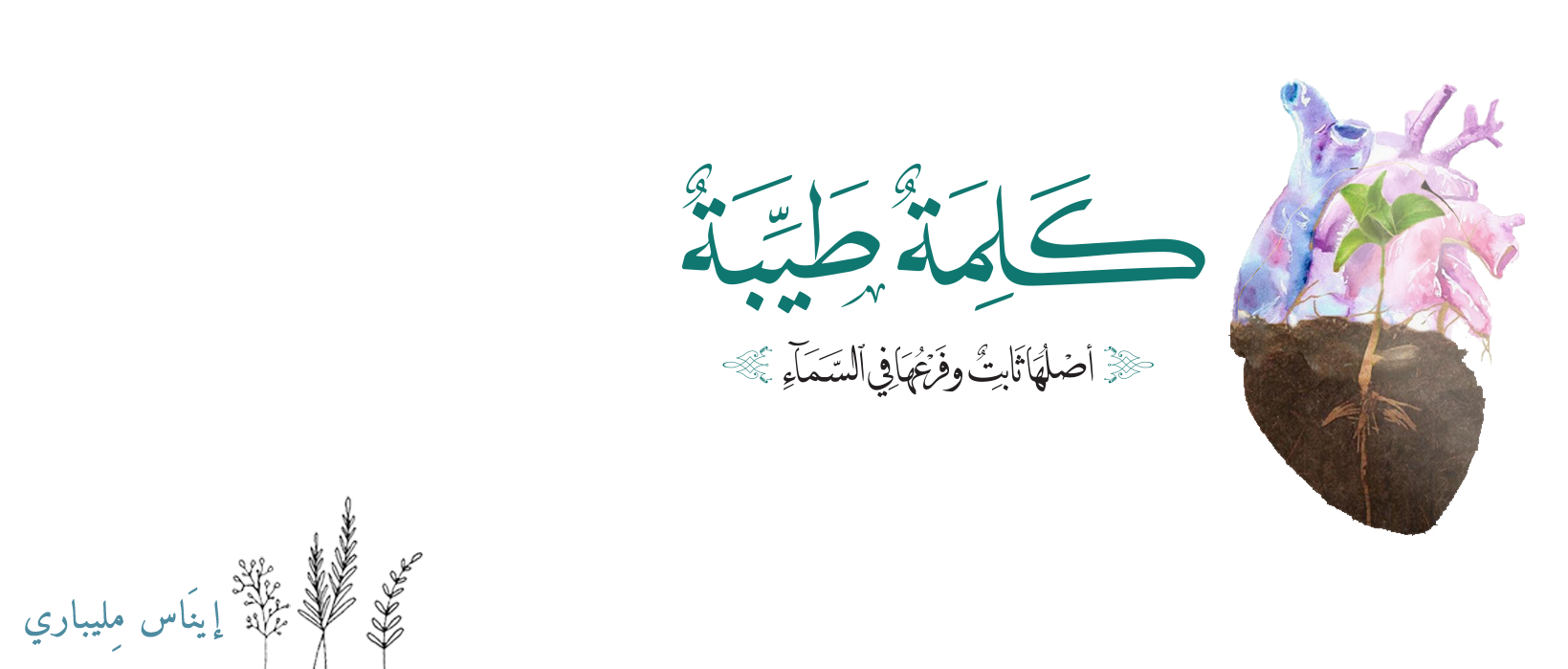 10 رقم مجموعة الصور