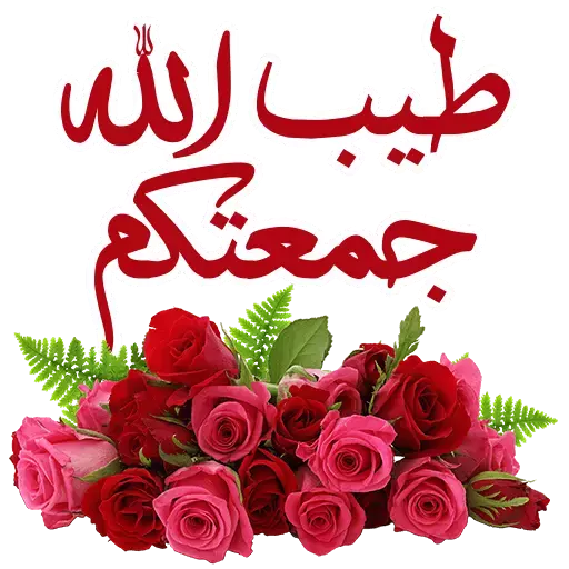 جمعة طيبه - KibrisPDR