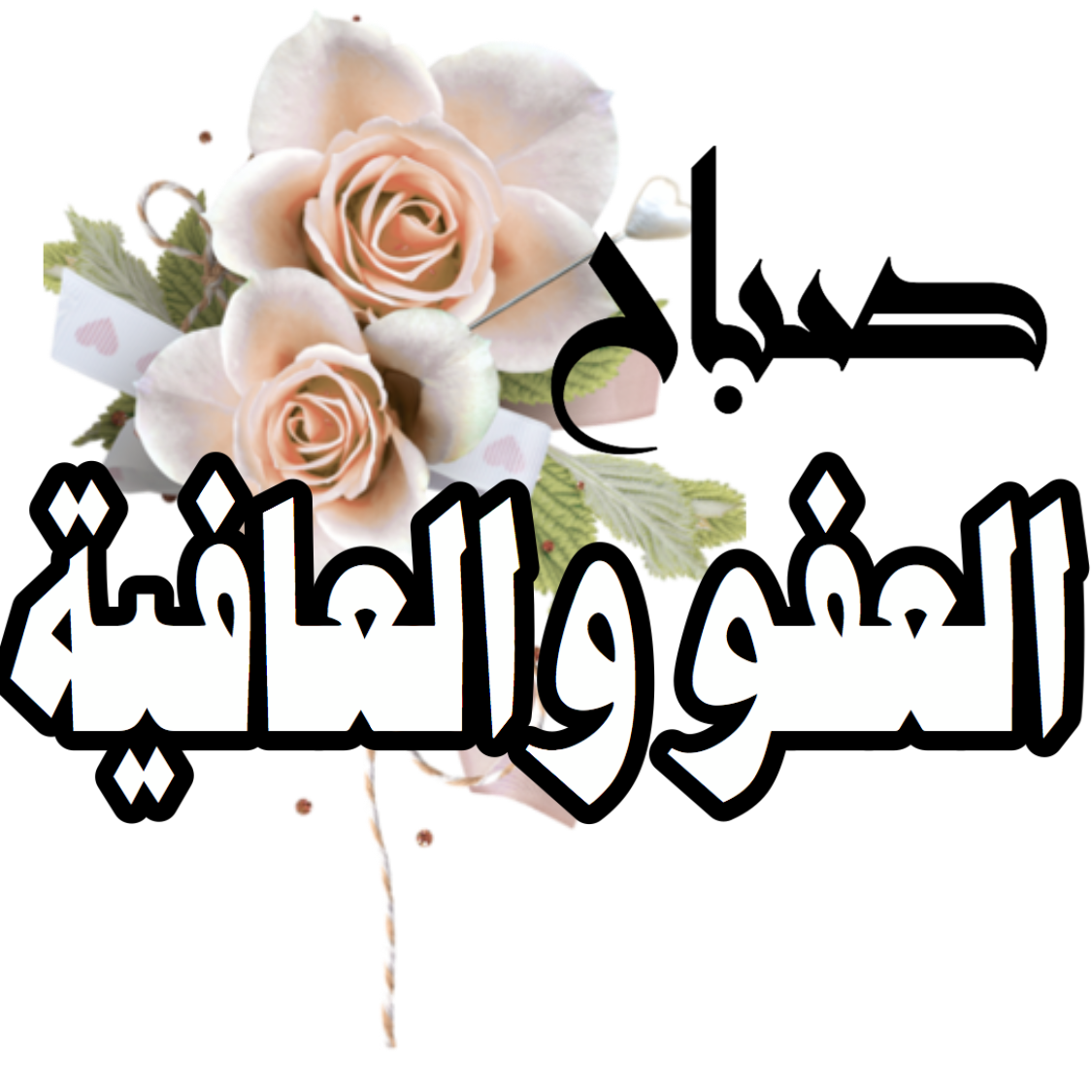 5 رقم مجموعة الصور