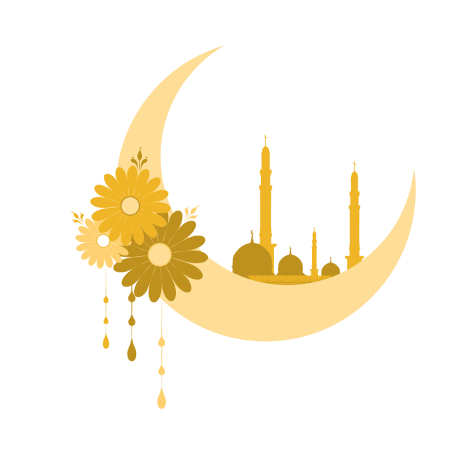 6 رقم مجموعة الصور