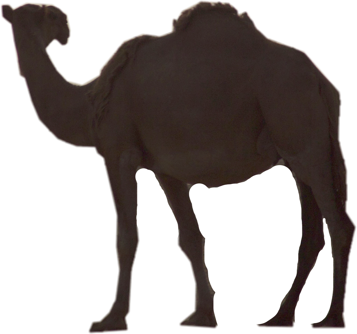12 رقم مجموعة الصور
