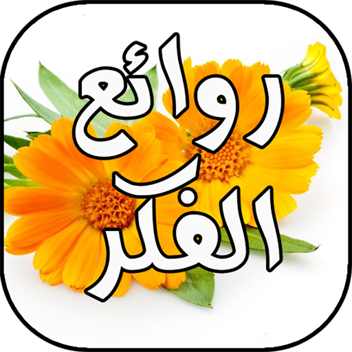 4 رقم مجموعة الصور