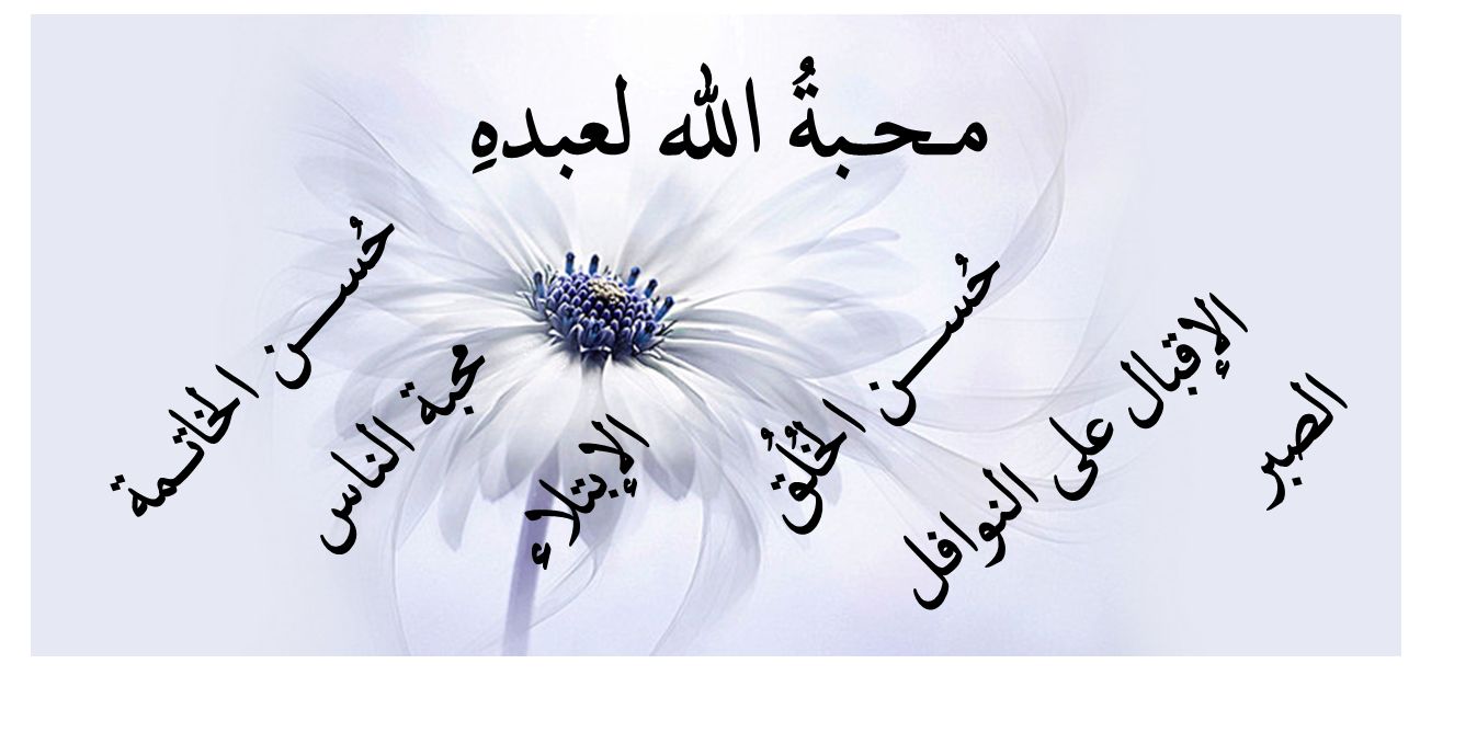 14 رقم مجموعة الصور