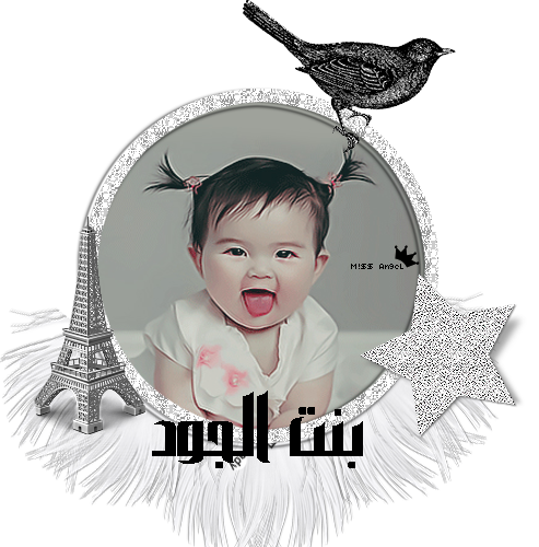 18 رقم مجموعة الصور