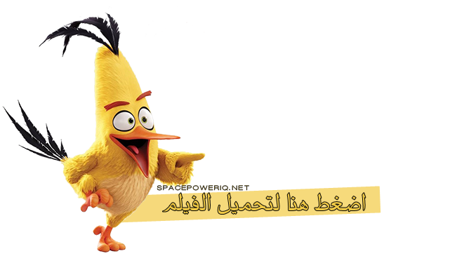 4 رقم مجموعة الصور