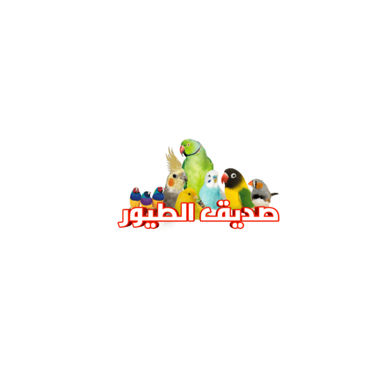 8 رقم مجموعة الصور