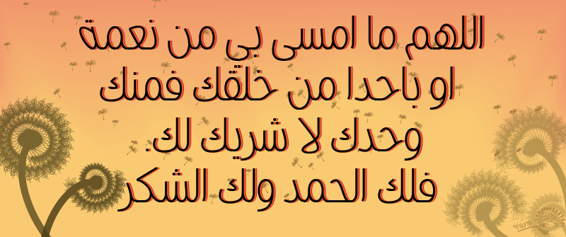 8 رقم مجموعة الصور