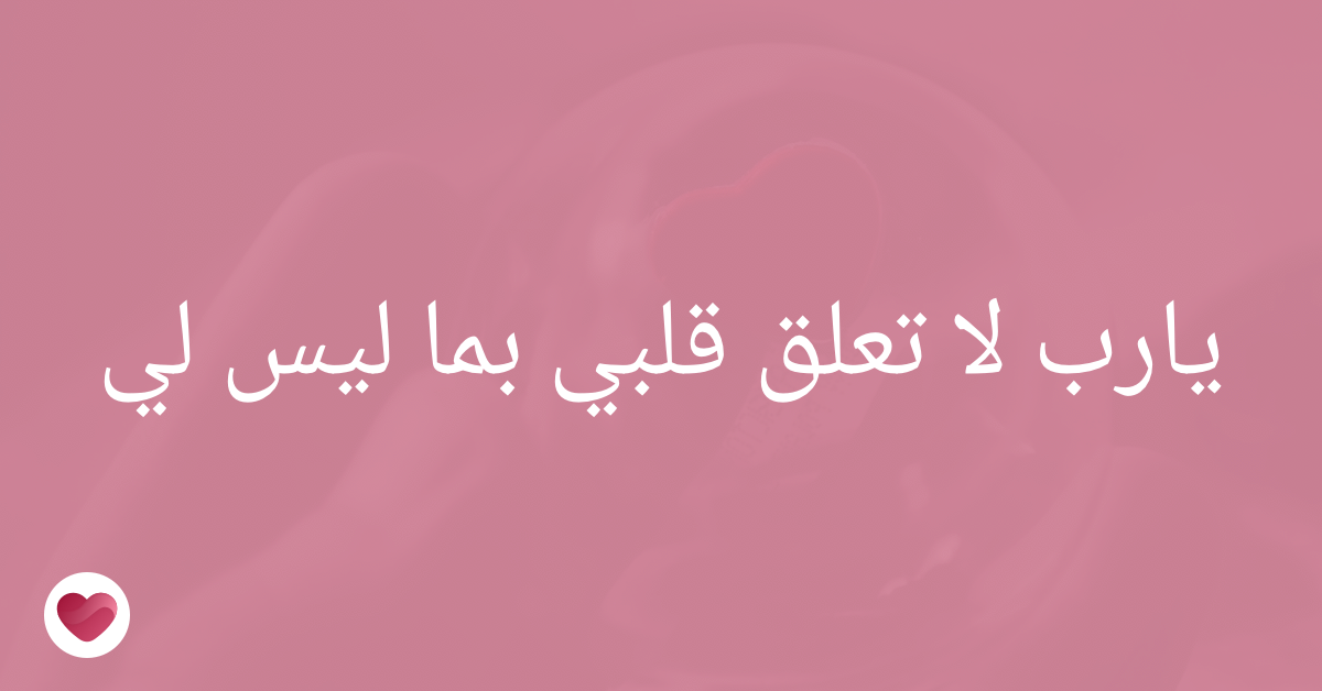 3 رقم مجموعة الصور