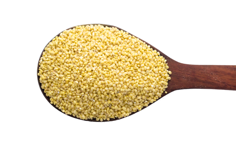 حبوب صفراء - KibrisPDR