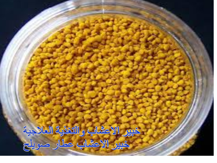 حبوب لونها برتقالي - KibrisPDR