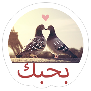 5 رقم مجموعة الصور