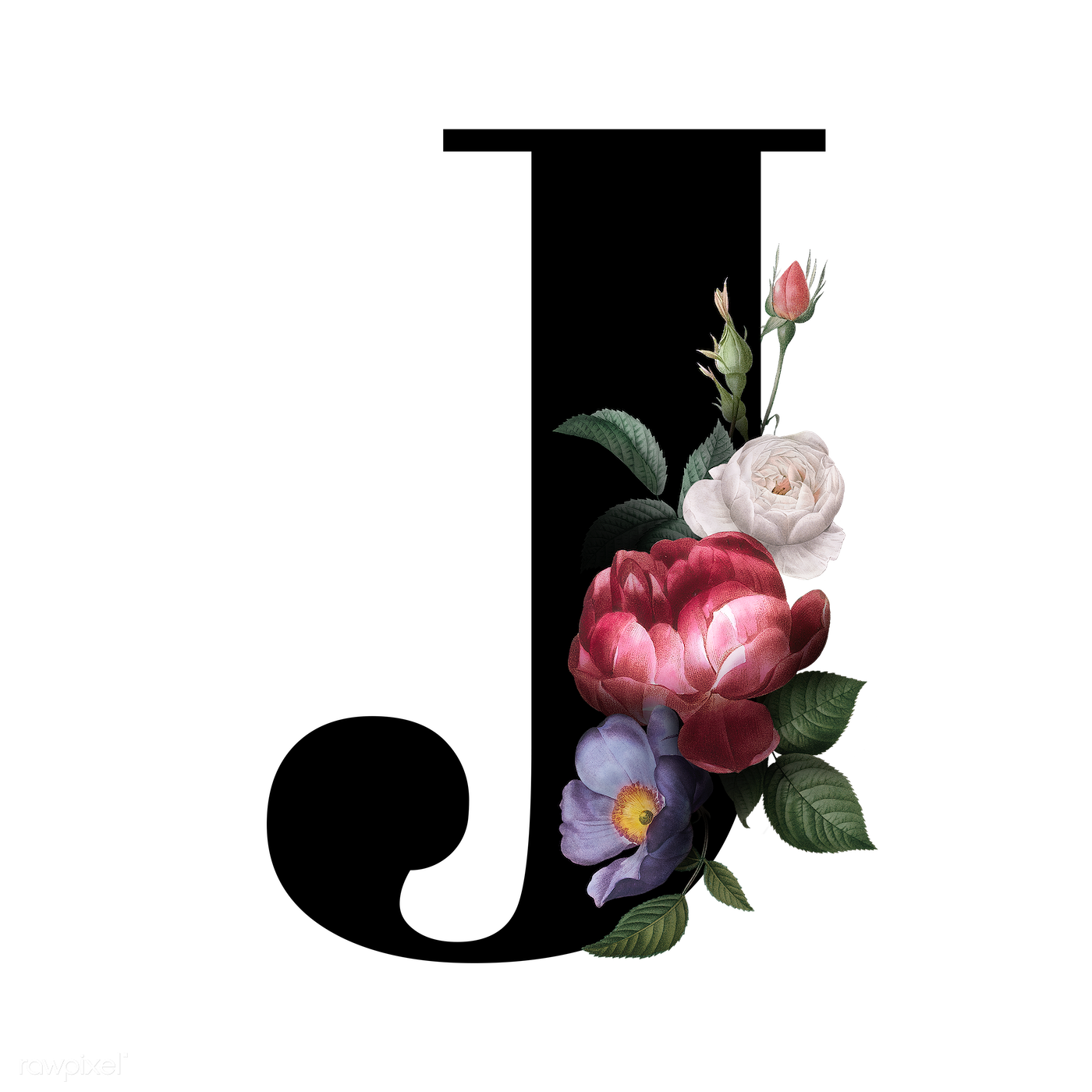 7 رقم مجموعة الصور