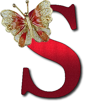 4 رقم مجموعة الصور