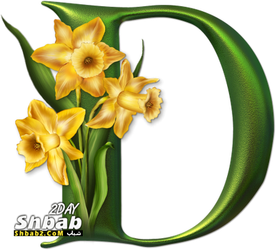 3 رقم مجموعة الصور