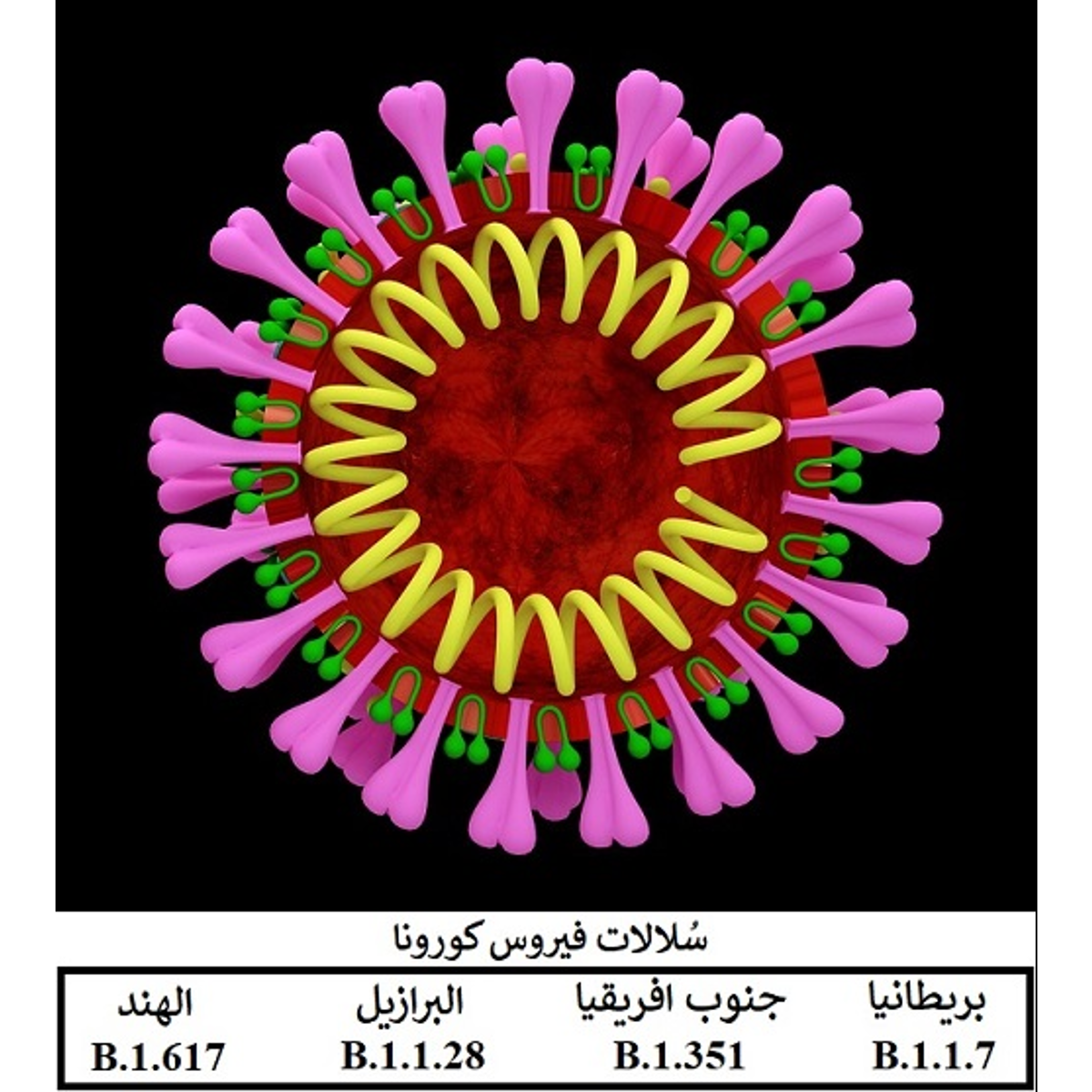 15 رقم مجموعة الصور