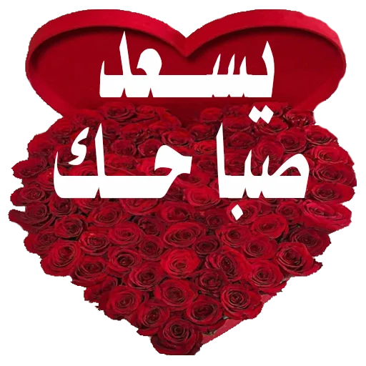11 رقم مجموعة الصور
