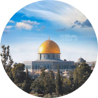 5 رقم مجموعة الصور