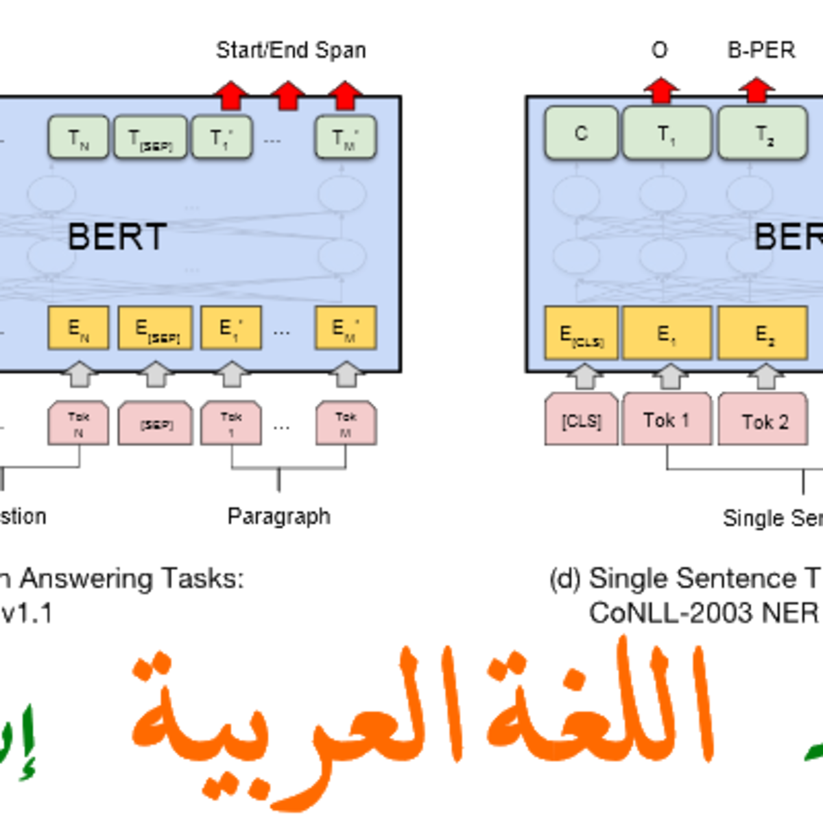 13 رقم مجموعة الصور