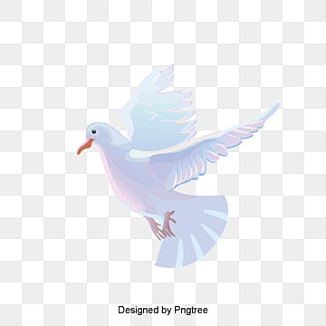15 رقم مجموعة الصور