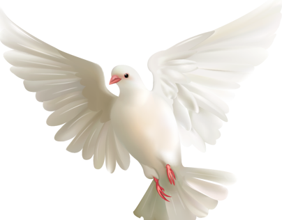 4 رقم مجموعة الصور