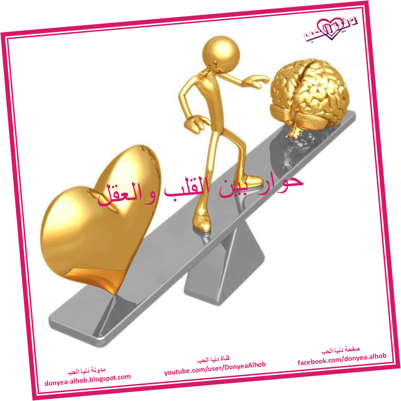 8 رقم مجموعة الصور