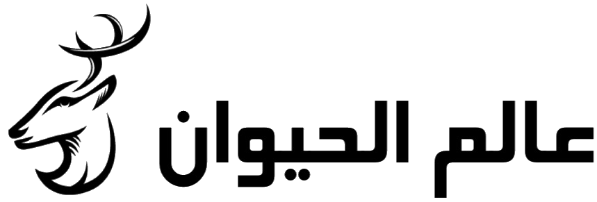16 رقم مجموعة الصور