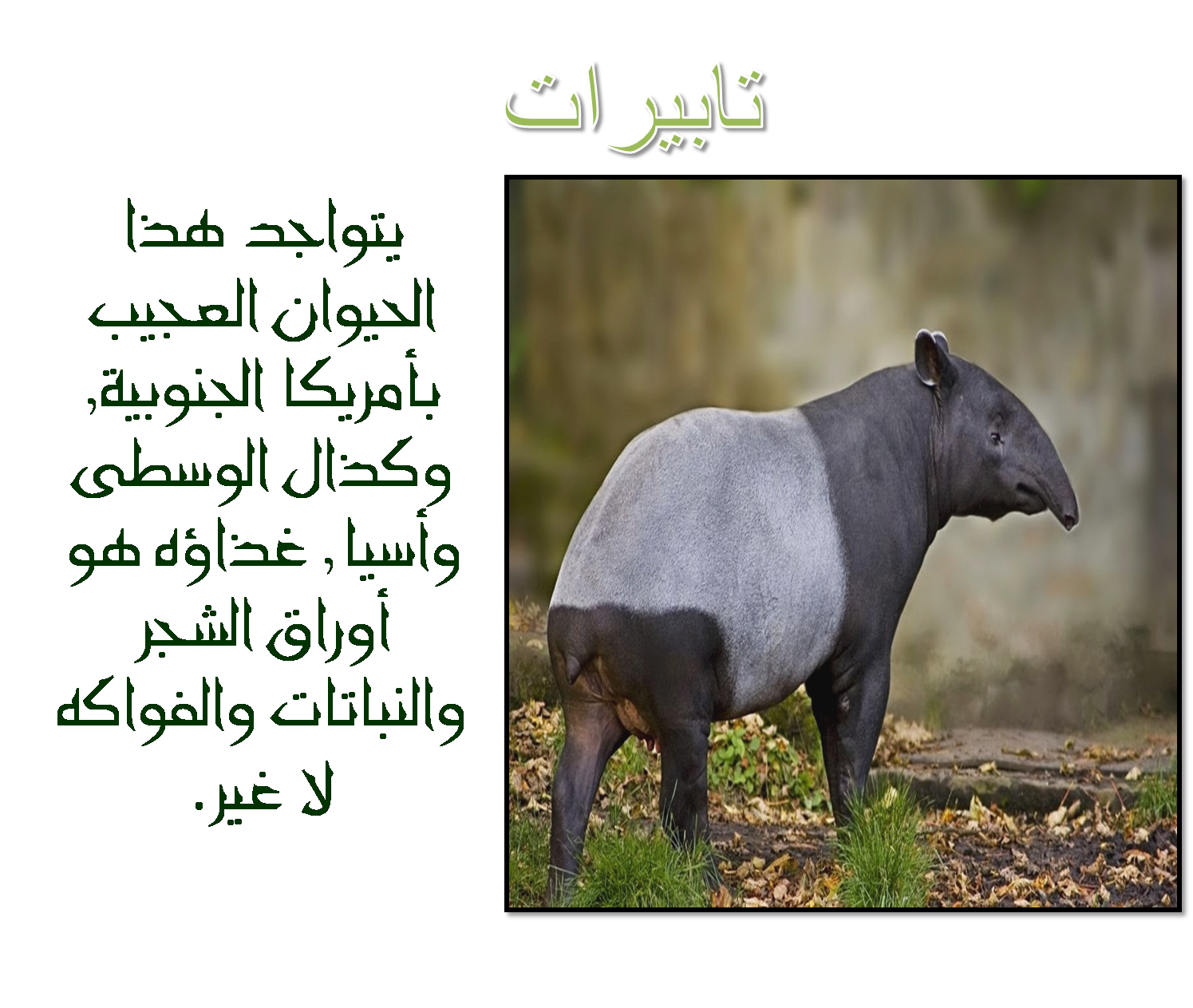 4 رقم مجموعة الصور