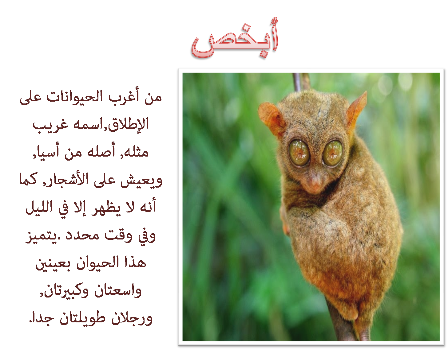 7 رقم مجموعة الصور