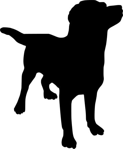 حيوان كلب - KibrisPDR