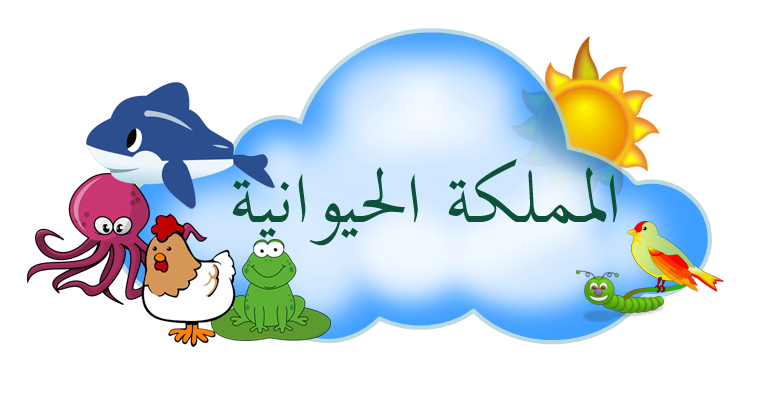 12 رقم مجموعة الصور
