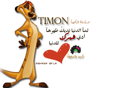 7 رقم مجموعة الصور