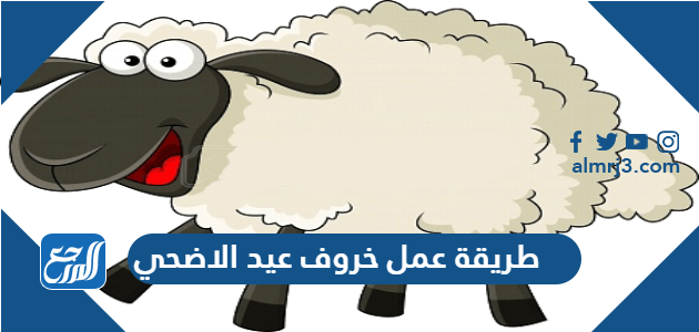 10 رقم مجموعة الصور