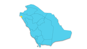7 رقم مجموعة الصور
