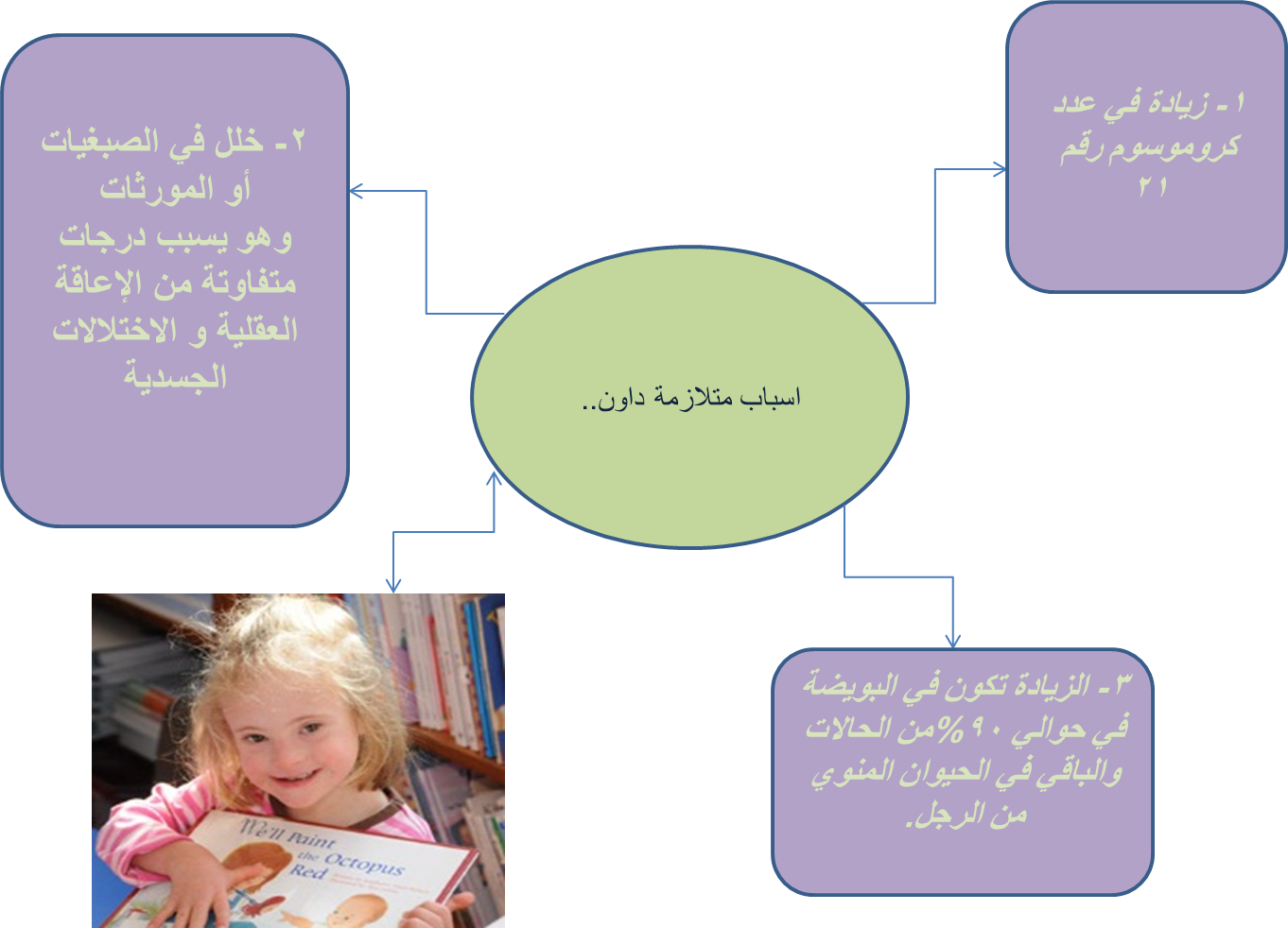 12 رقم مجموعة الصور