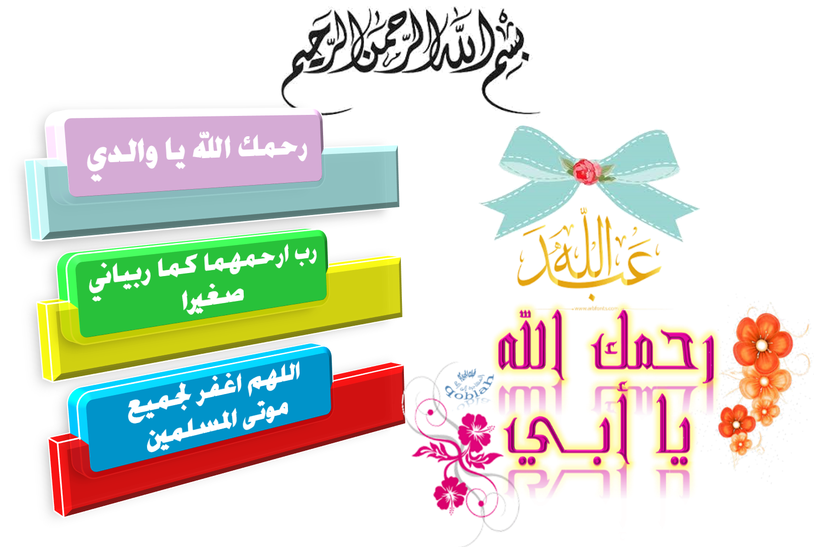 11 رقم مجموعة الصور