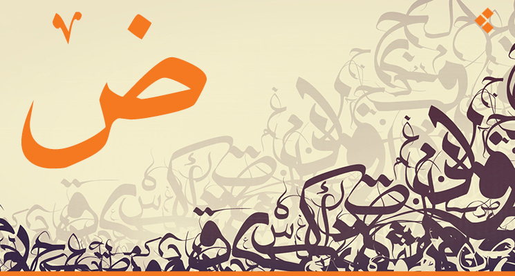 7 رقم مجموعة الصور
