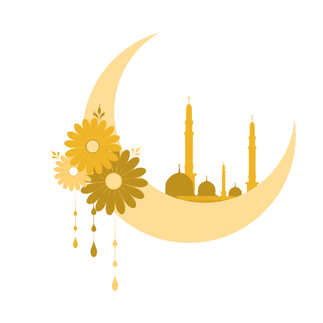 13 رقم مجموعة الصور