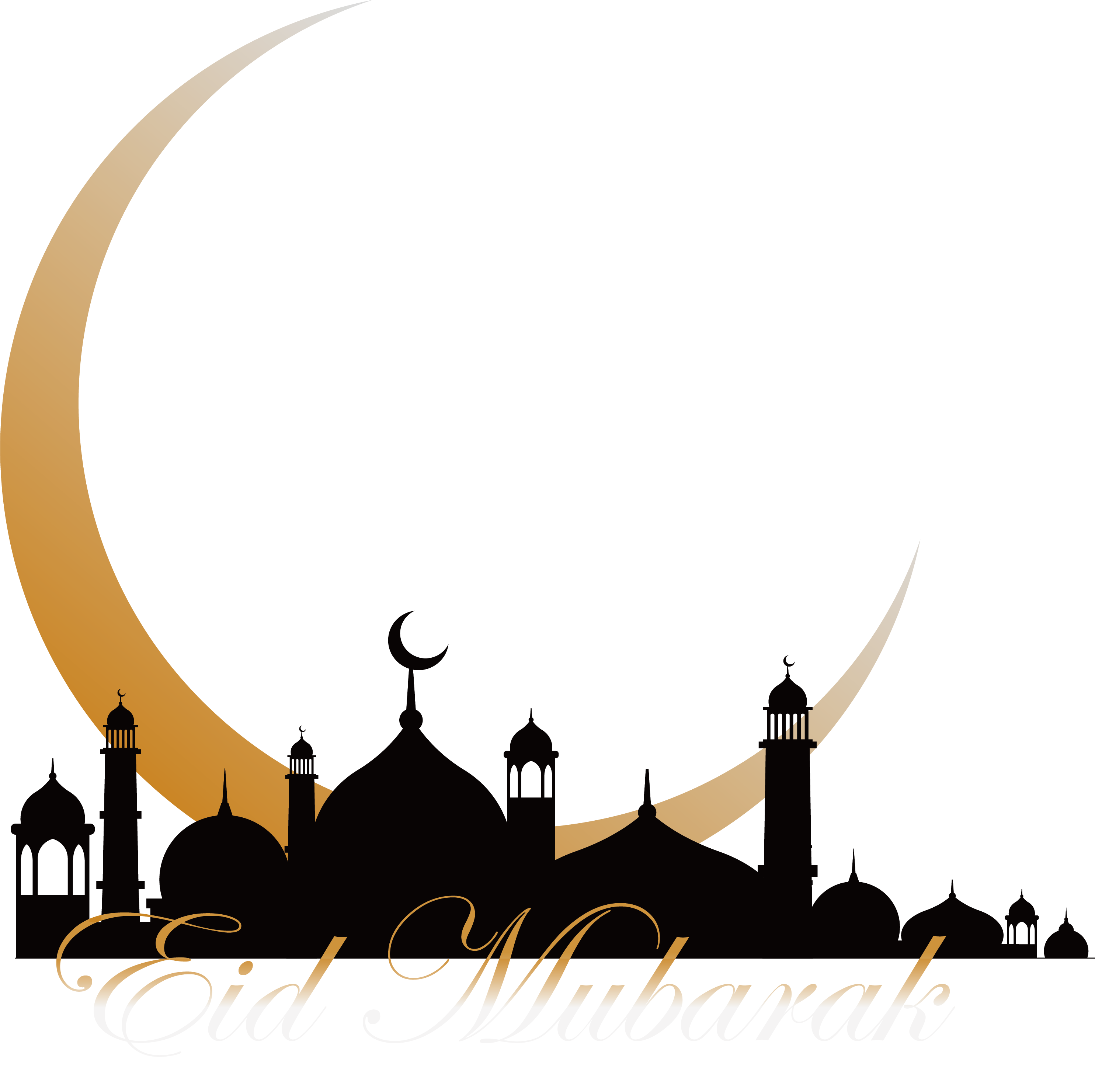 6 رقم مجموعة الصور