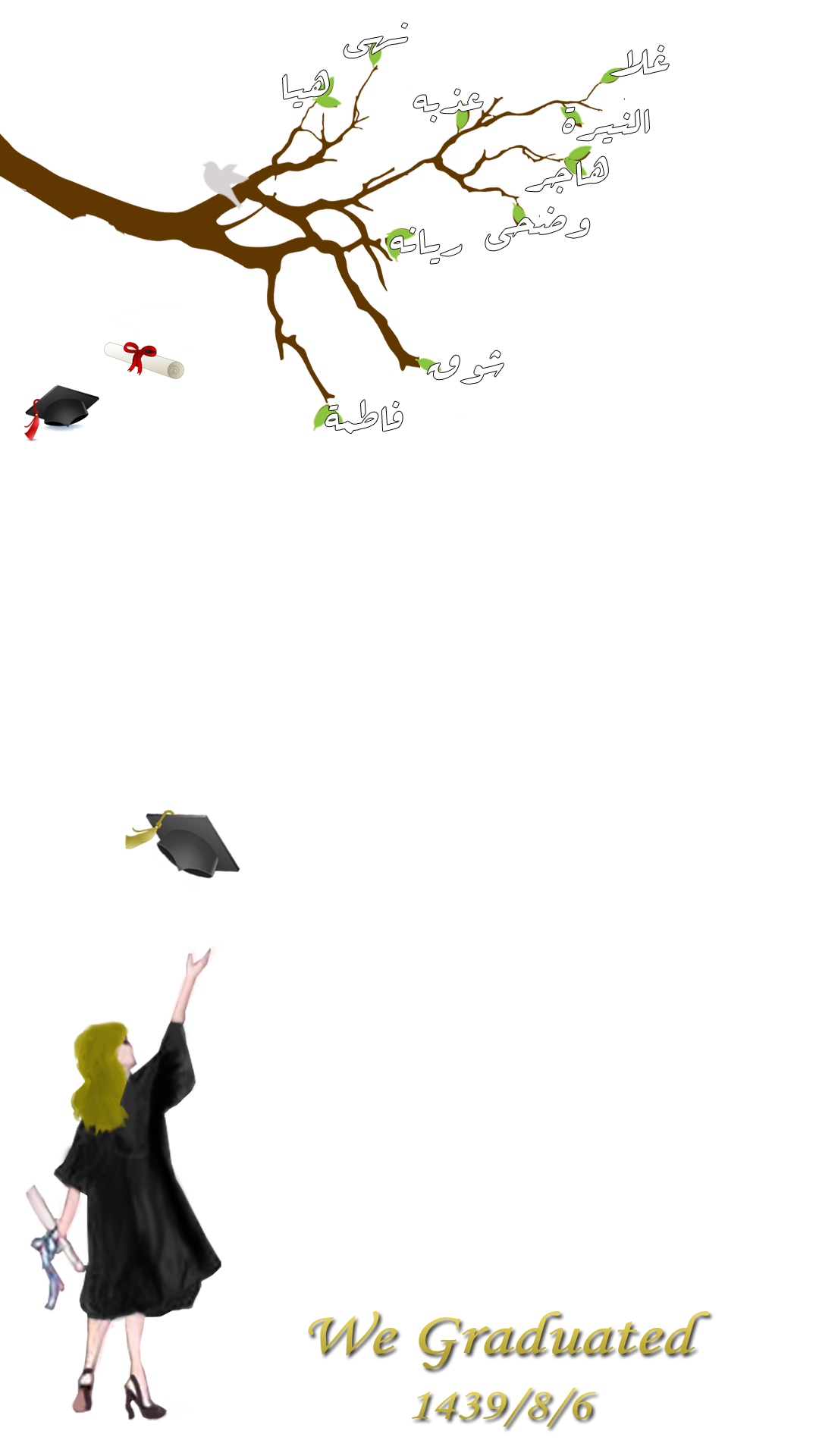 2 رقم مجموعة الصور