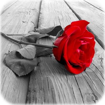11 رقم مجموعة الصور