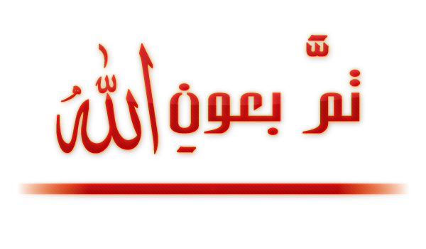 7 رقم مجموعة الصور
