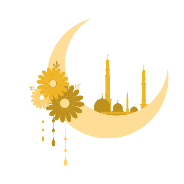 7 رقم مجموعة الصور