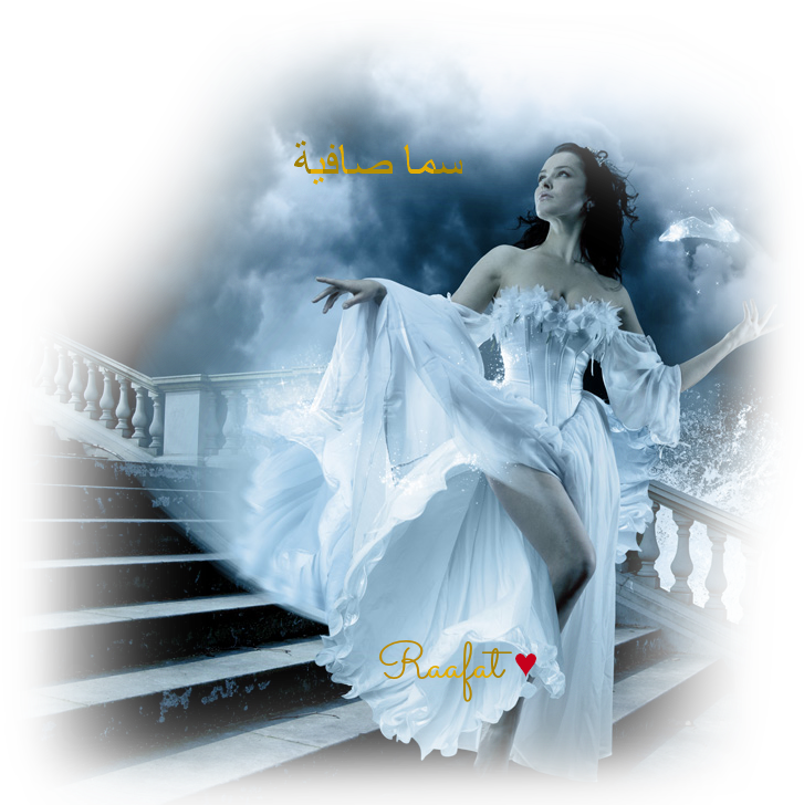 5 رقم مجموعة الصور