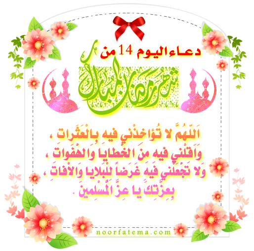 11 رقم مجموعة الصور