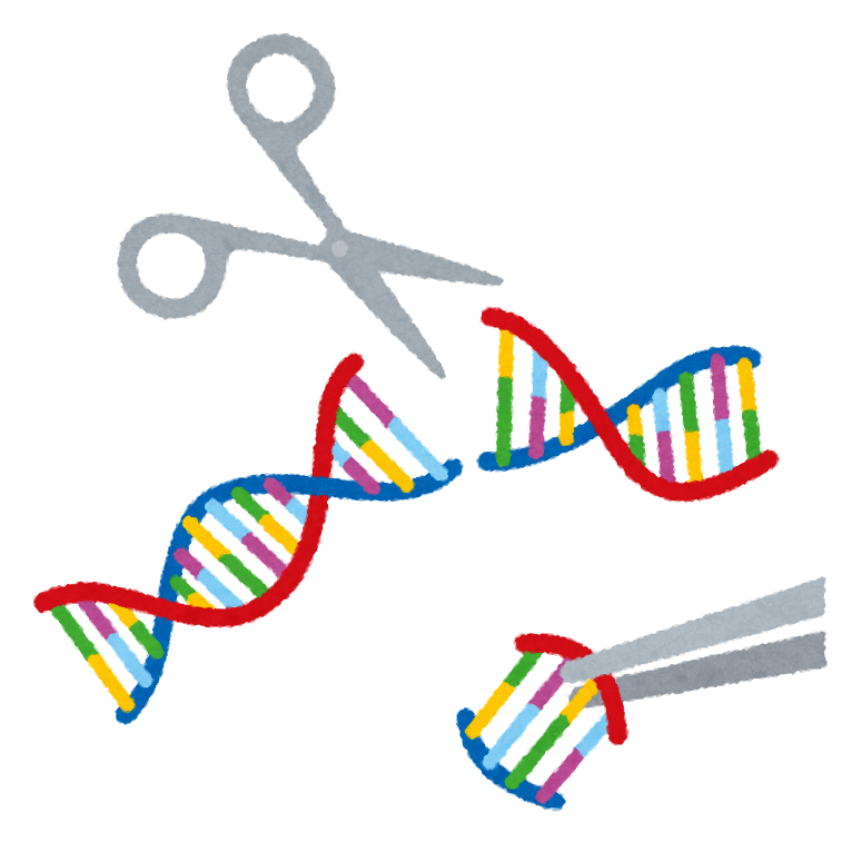 Dna イラスト詳細 8位