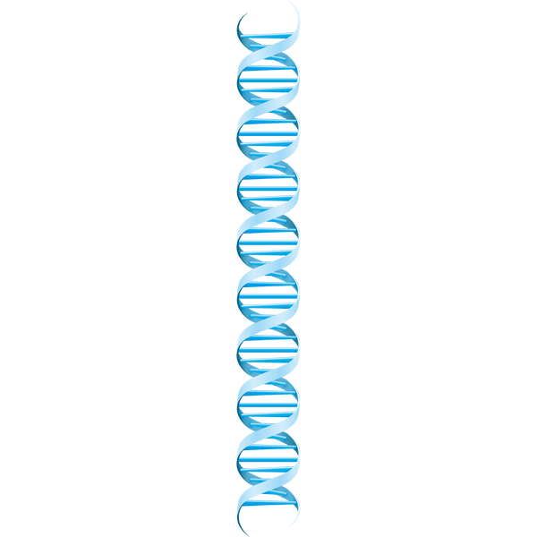 Dna イラスト詳細 9位