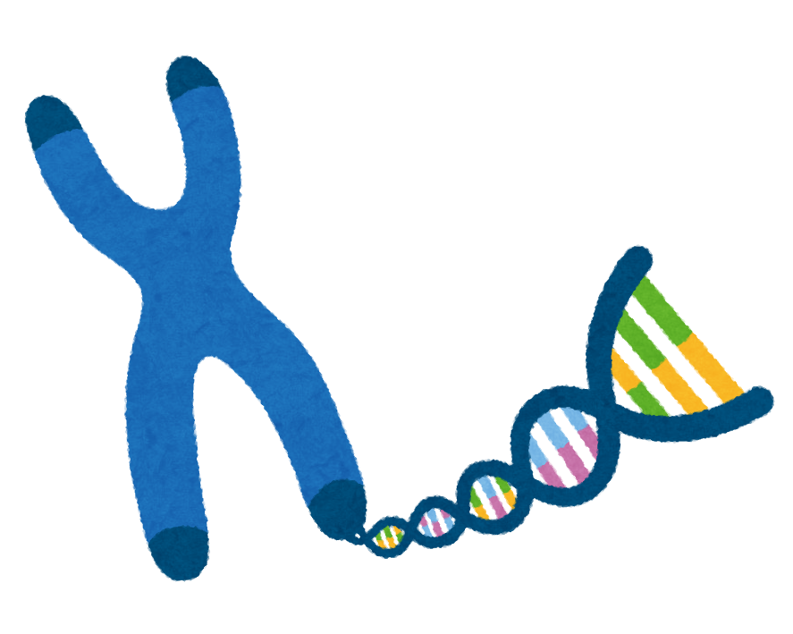 Dna イラスト詳細 10位