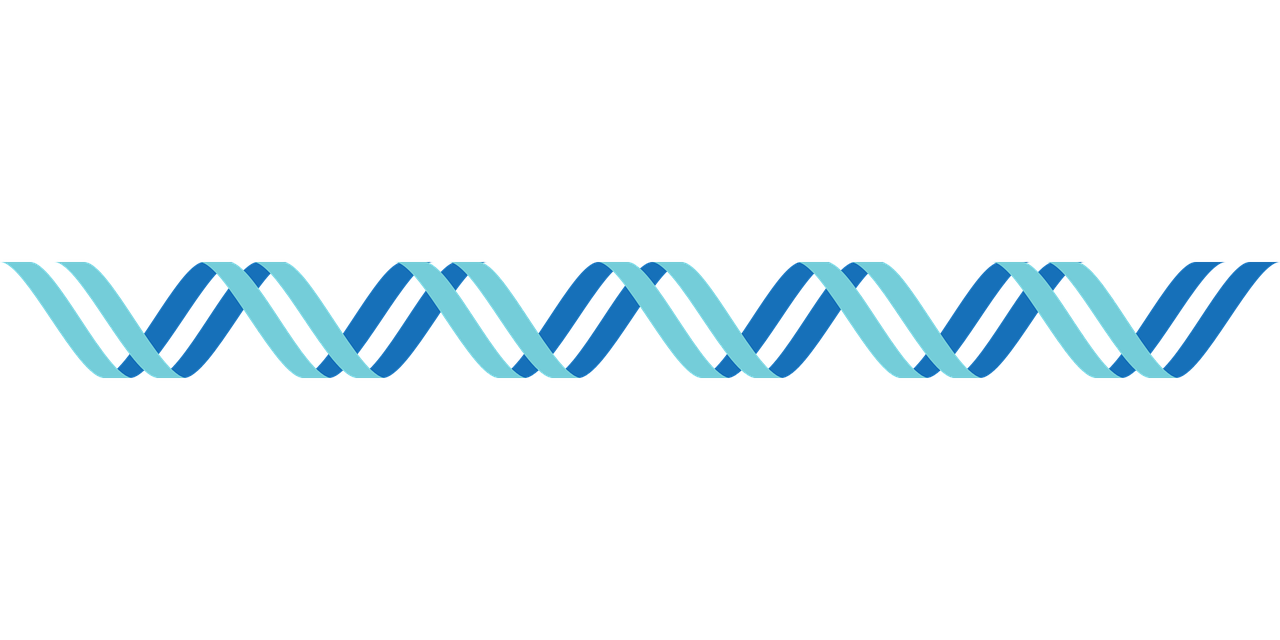 Dna イラスト詳細 11位