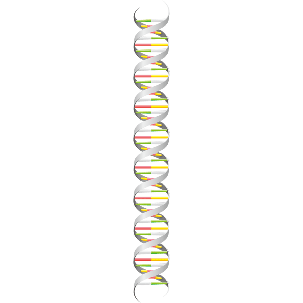 Dna イラスト詳細 3位