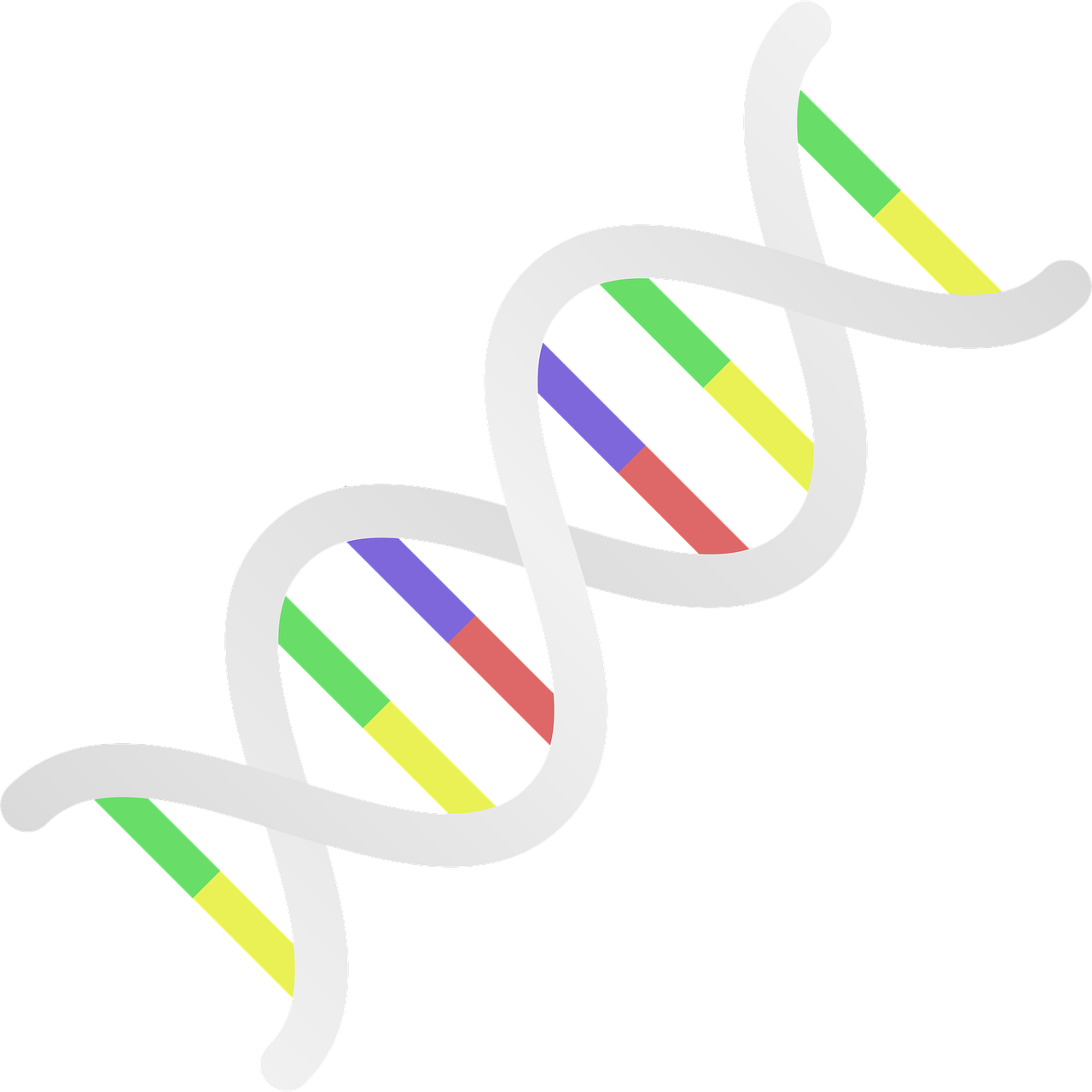 Dna イラスト詳細 4位